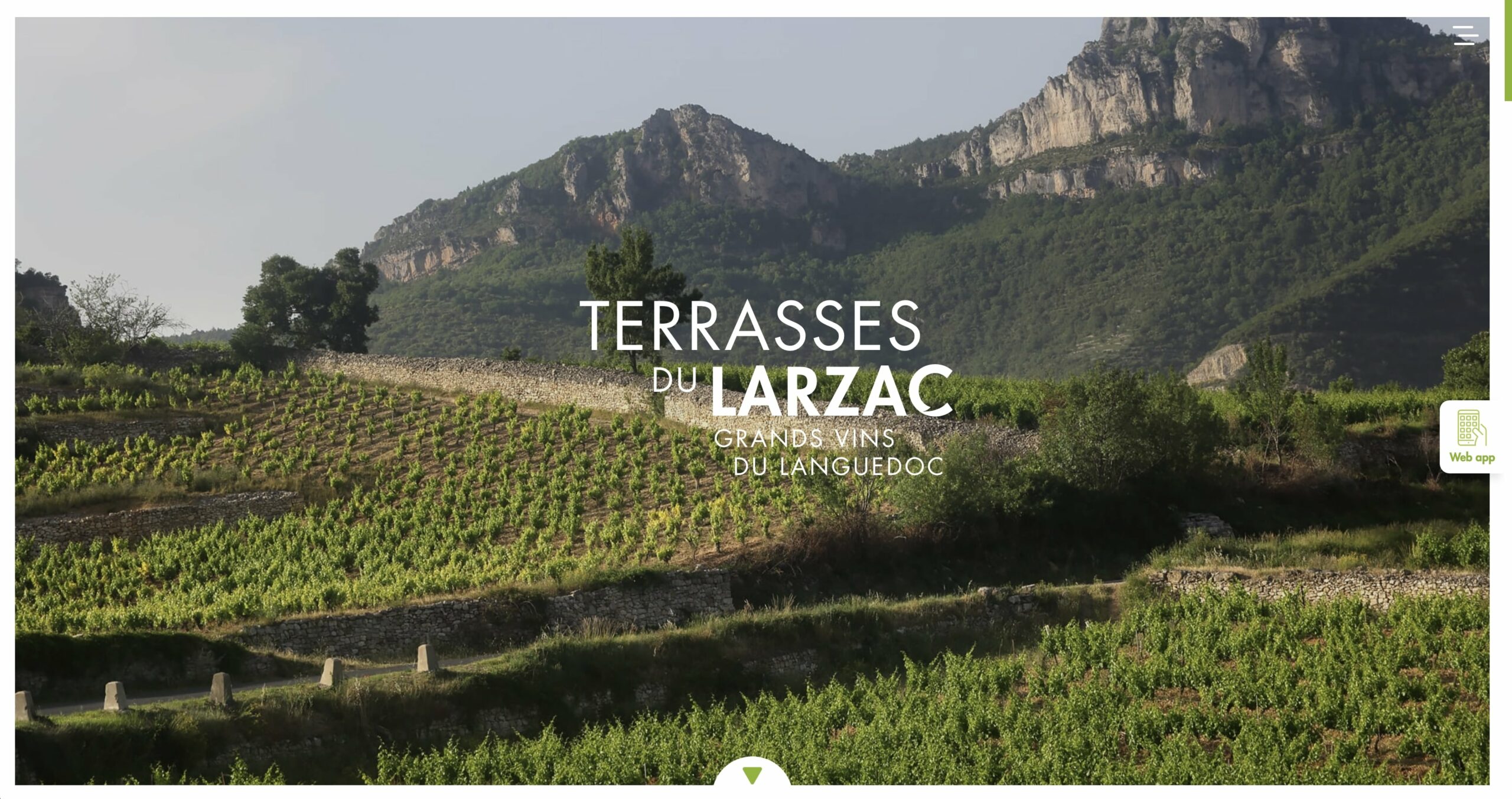 • AOC du vins • wines Languedoc du Grands Red Terrasses Larzac
