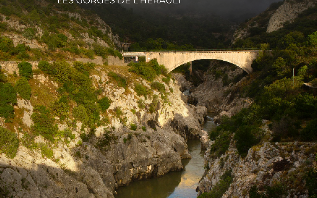 1 – Vignes et Biodiversité en Terrasses du Larzac – Les Gorges de l’Hérault