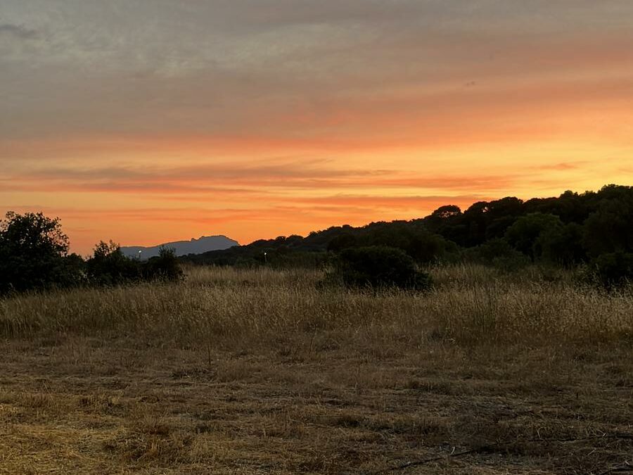 Balade et dégustation AOP Terrasses du Larzac au coucher du soleil