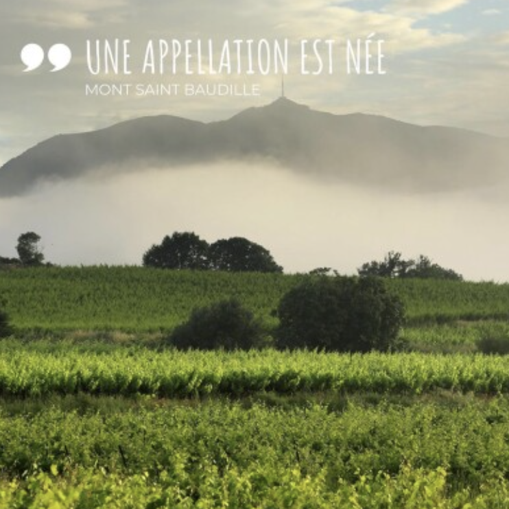 Vignobles d’exception des Terrasses du Larzac, vins d’altitude et terroir d’exception en Languedoc.