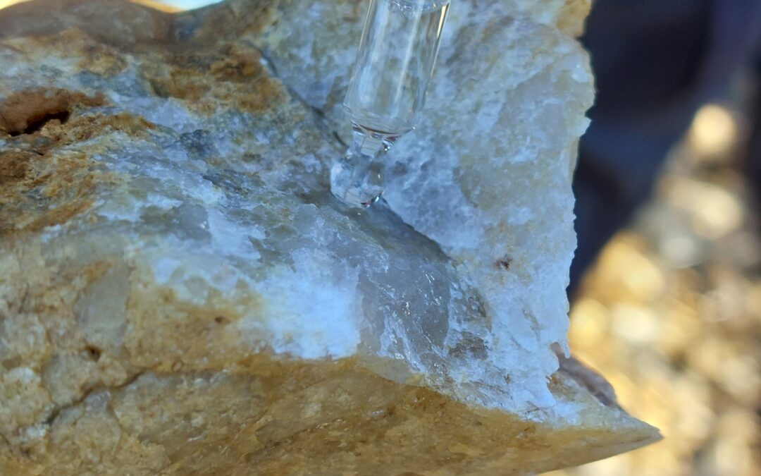 Les vignerons de l&rsquo;AOP Terrasses du Larzac peaufinent leur connaissance de la géologie de leurs terroirs